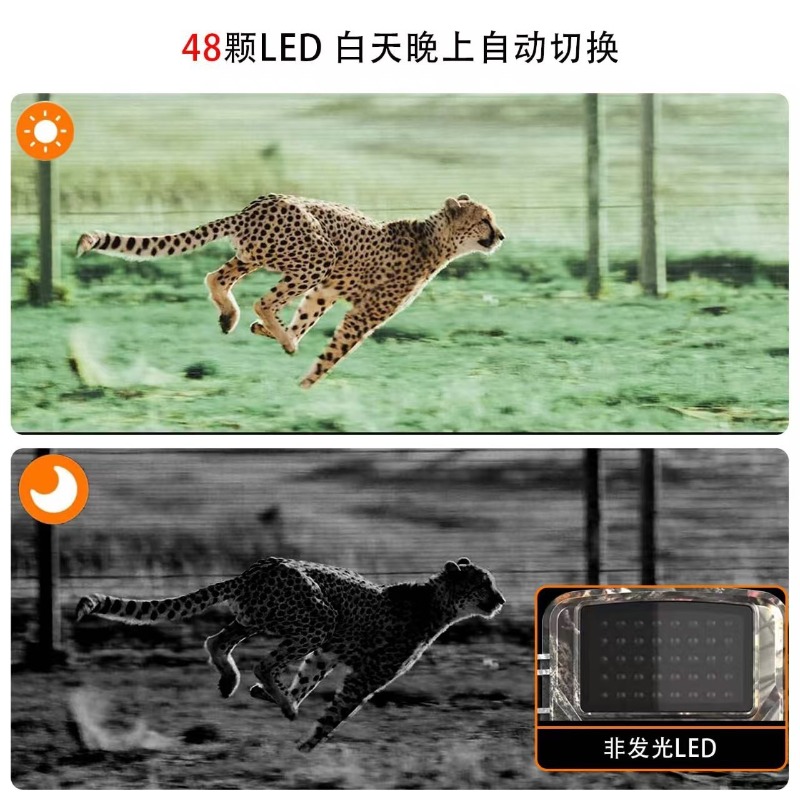 HOT SALE DL001 Hunting Camera  - Outdoor Hunting Video Camera ulasan dan harga