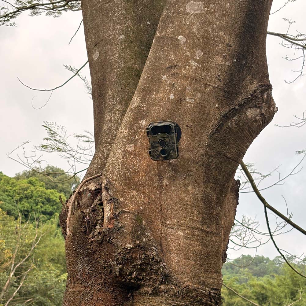 Hunting Trail Camera 16MP 1080 - Outdoor Hunting Video Camera ulasan dan harga