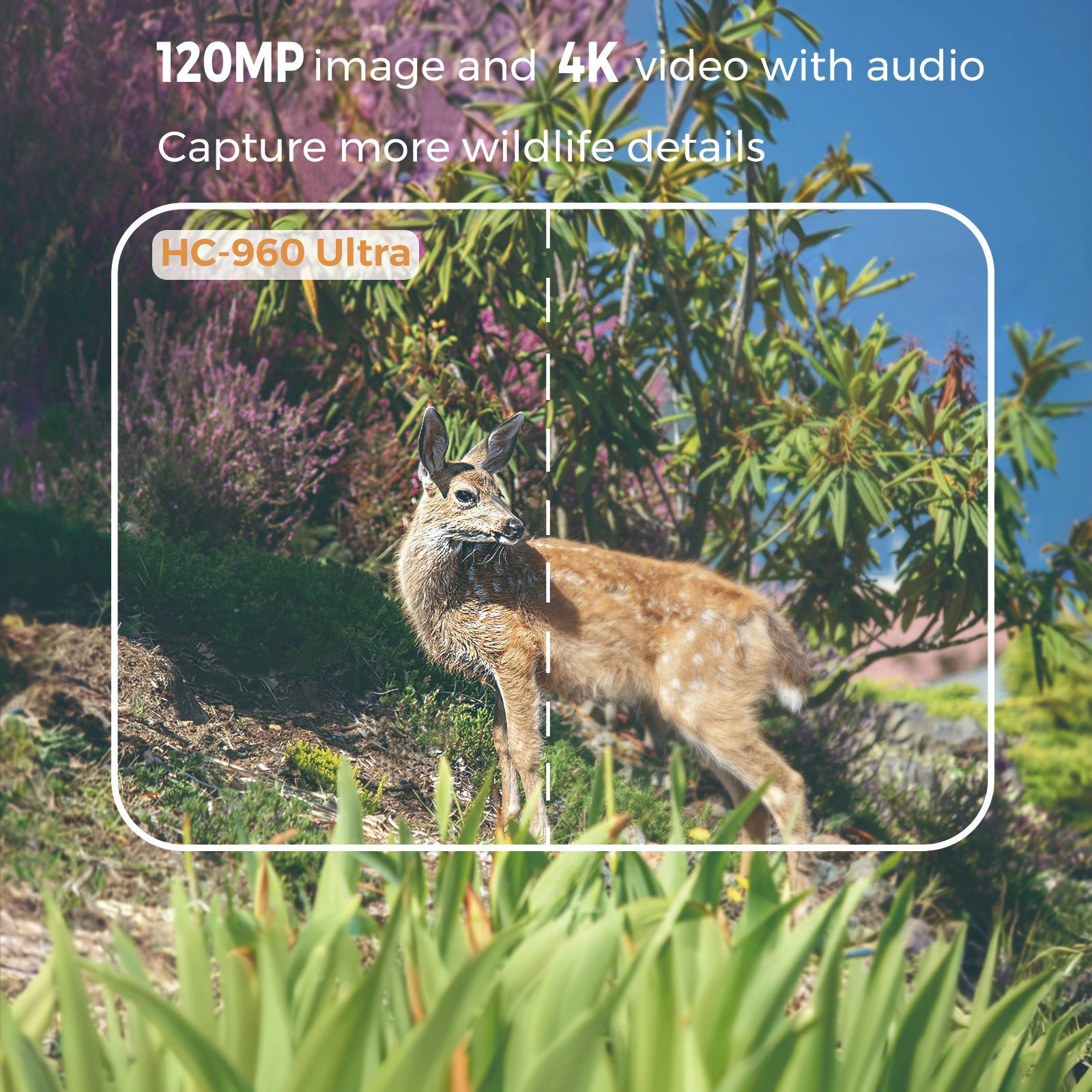 Outdoor 4K Video 120MP Photo 4 - Outdoor Hunting Video Camera ulasan dan harga