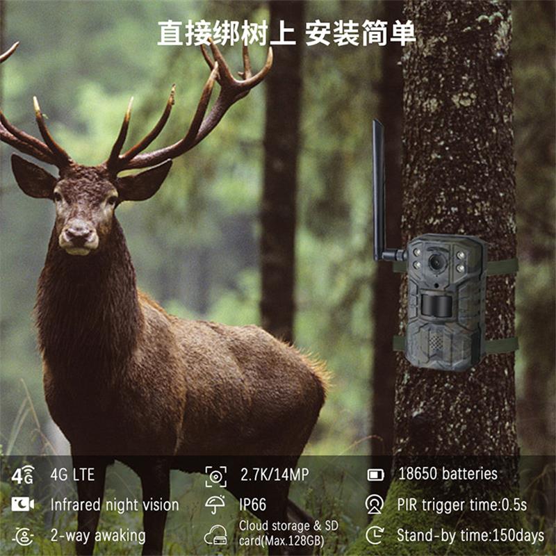 4G LTE Solar Hunting Trail Cam - Outdoor Hunting Video Camera ulasan dan harga