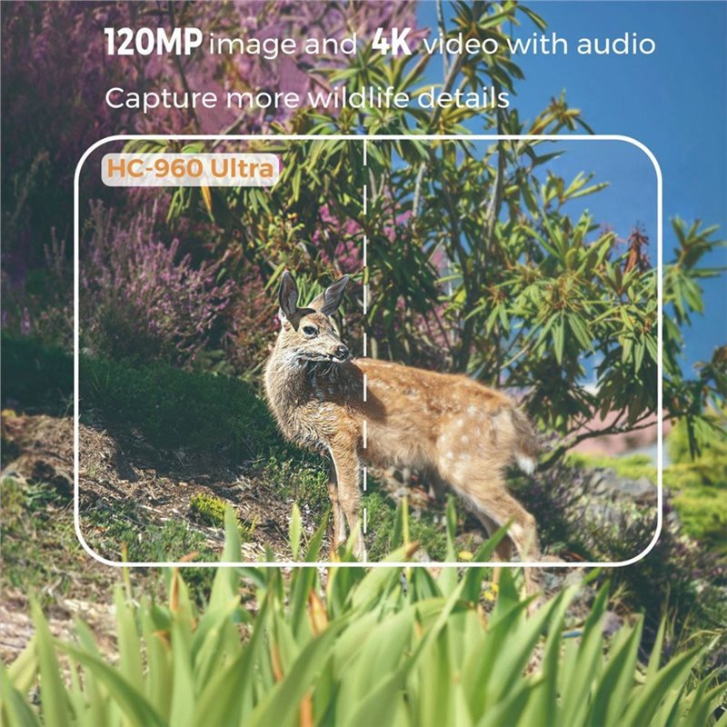 A99E-Outdoor 4G 120MP 4K Live  - Hunting And Outdoor Shows ulasan dan harga