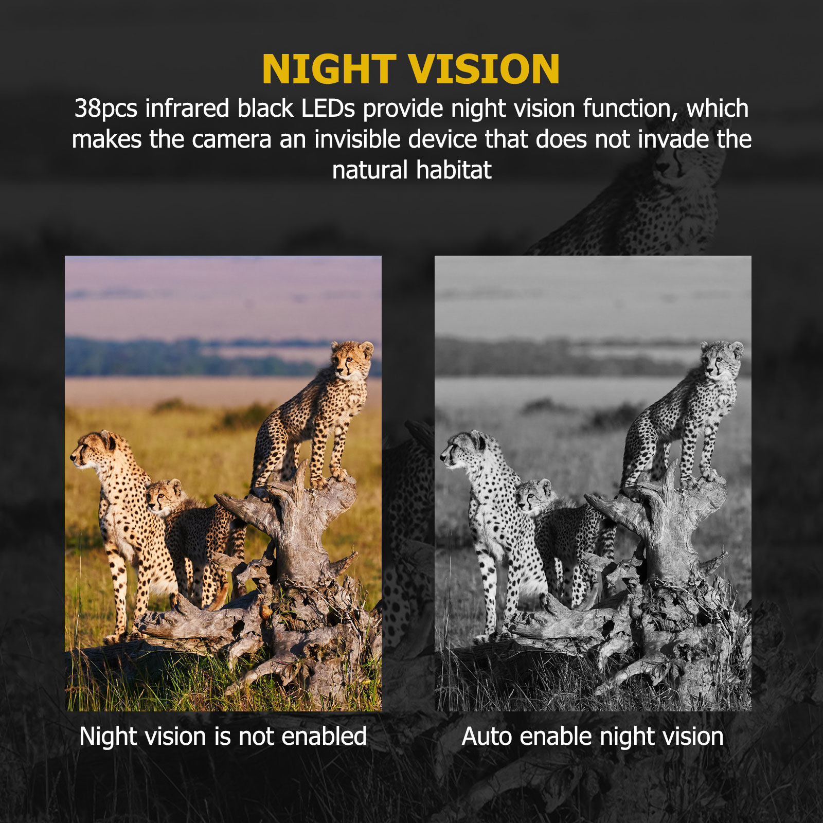 Hunting Game Camera 12Mp Pir N - Outdoor Hunting Video Camera ulasan dan harga
