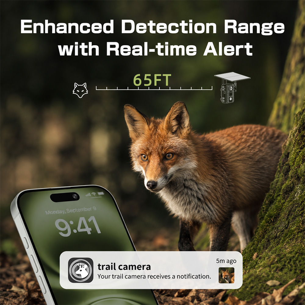 EU 4G Cellular 2K Battery Sola - Outdoor Hunting Video Camera ulasan dan harga